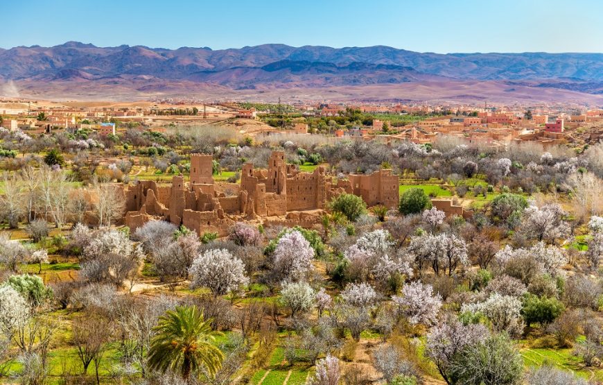 Excursions in Morocco