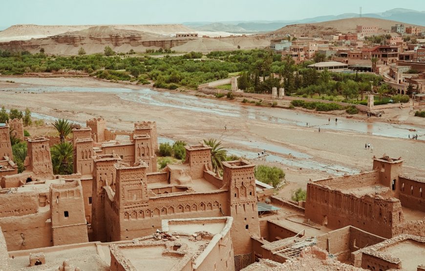 Travel Agencies in Morocco